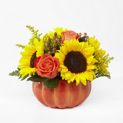 Harvest Traditions Pumpkin from Krupp Florist, your local Belleville flower shop